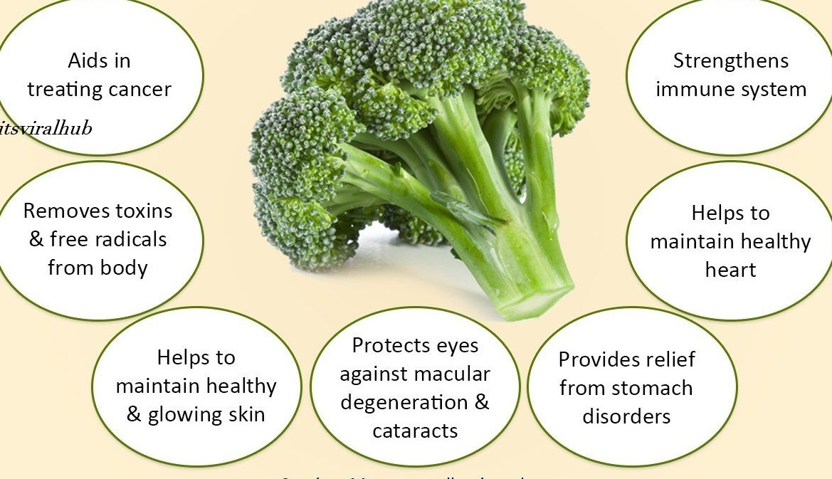 Advantages Of Having Brocolli