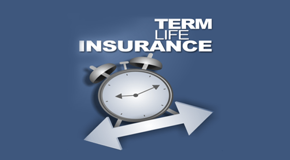 Term insurance plan