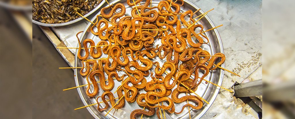 Snake'S Meat Served In Wet Market Of Wuhan, China