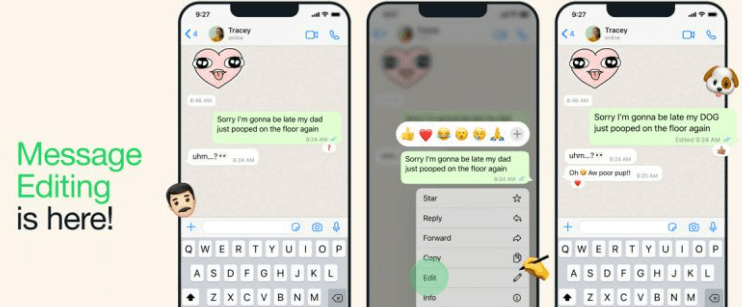 Message Editing In Whatsapp