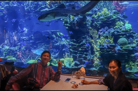 Underwater Restaurant In Burj Al Arab Hotel In Dubai