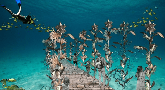 Coral Gardens In Bora Bora